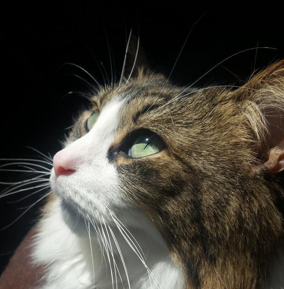 Meet your Posher, Kristi